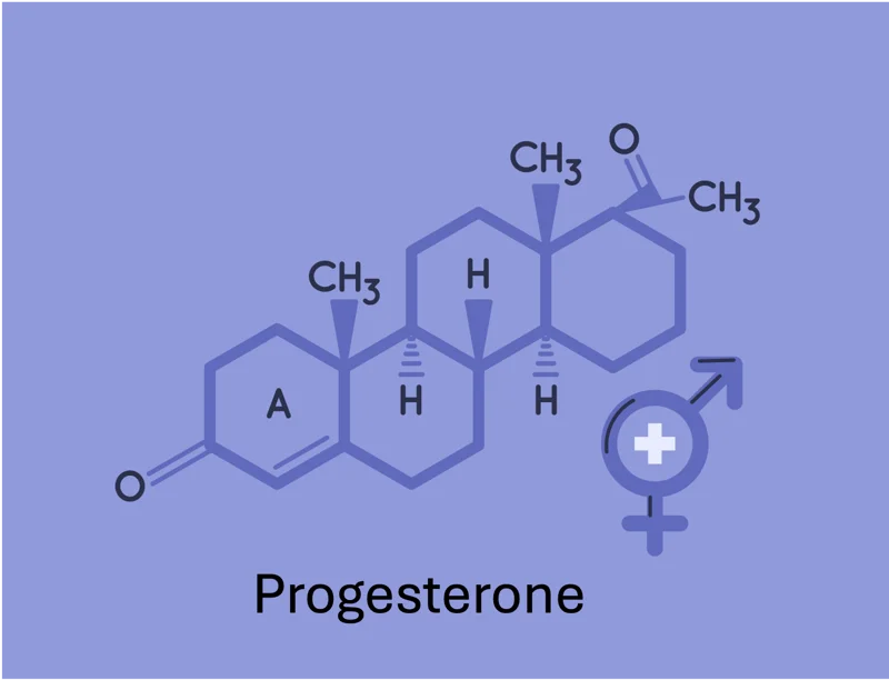 Reduced progesterone levels during menopause requiring hormone replacement therapy (HRT).